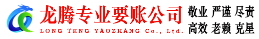 龙子湖讨账公司